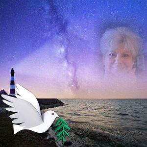 Meet your Posher, Betty